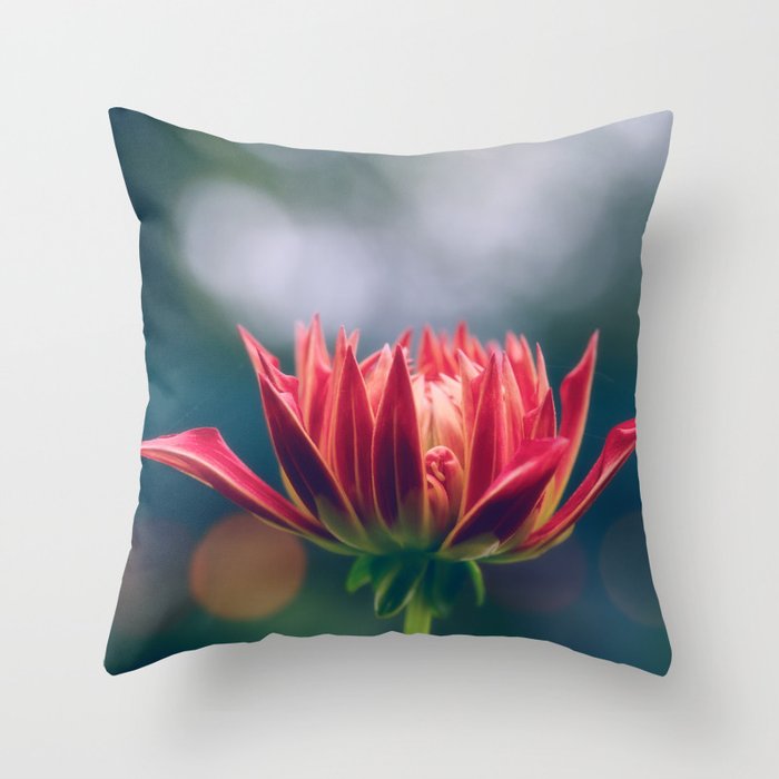 Beauty In The Dark Throw Pillow