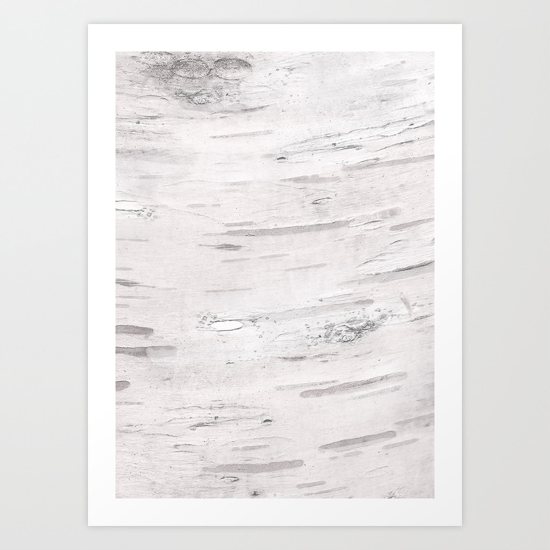 White Birch Wood Art Print By Christyne Society6