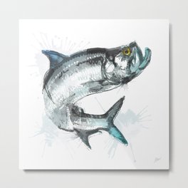 Tarpon Fish Metal Print