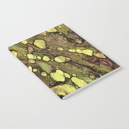 Green River Notebook