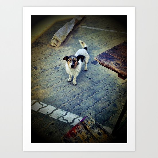 Homeless dog Art Print