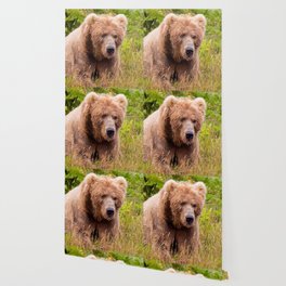 Brown Bear Wallpaper Society6
