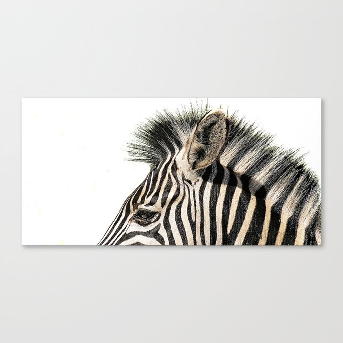 Zebra Art  Canvas Print
