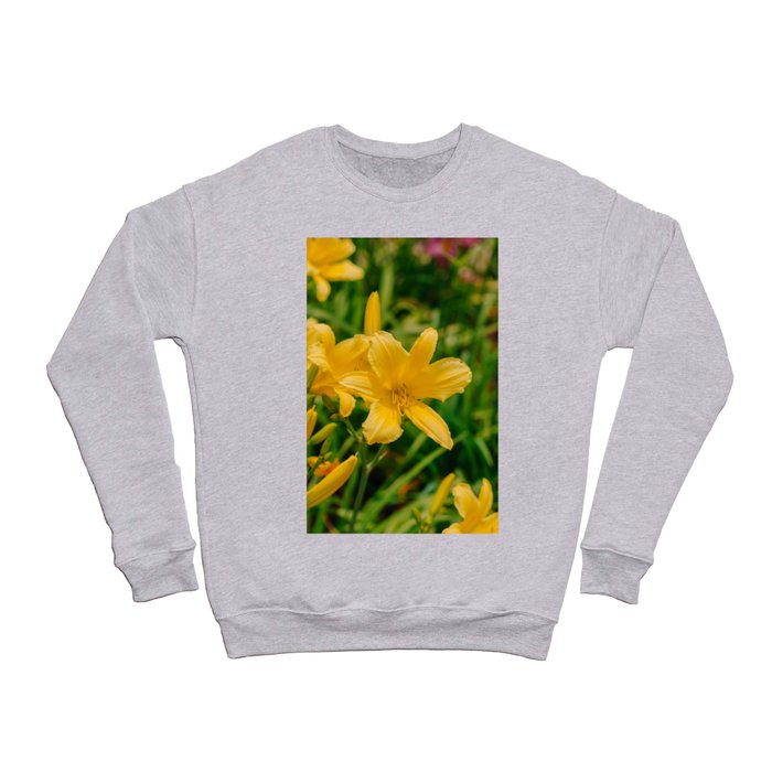 Daylily Garden IV Crewneck Sweatshirt