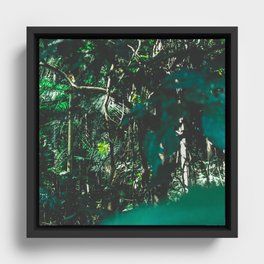 Brazil Photography - Rain Forest With Wet Green Leaves Framed Canvas