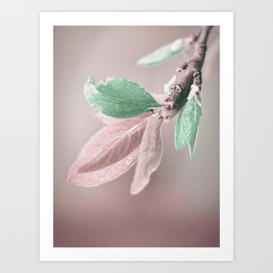 Spring 1 Art Print