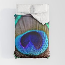 Peacock Feather Comforter
