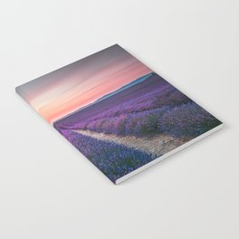 Lavender flower field, endless rows at sunset. Provence Notebook