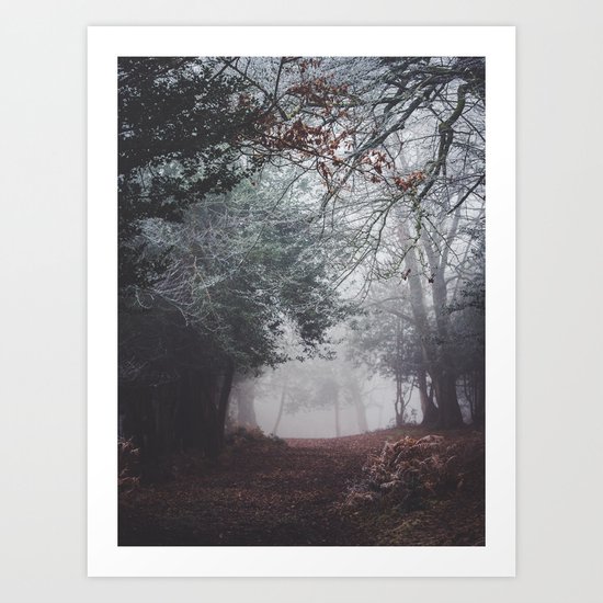 Frosty path Art Print