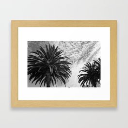 Black and White Palms  Framed Art Print