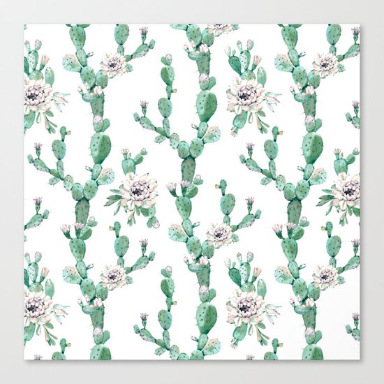 Cactus Rose Climb on White Canvas Print