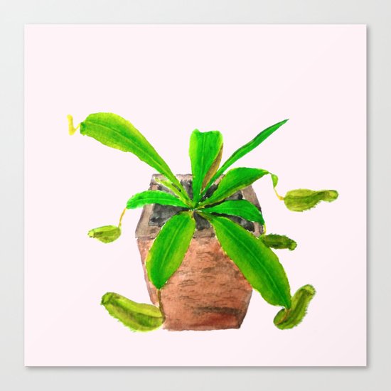 tropical pitcher plant watercolor painting Canvas Print