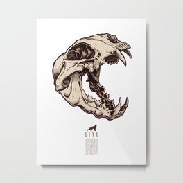 Lynx Skull Metal Print
