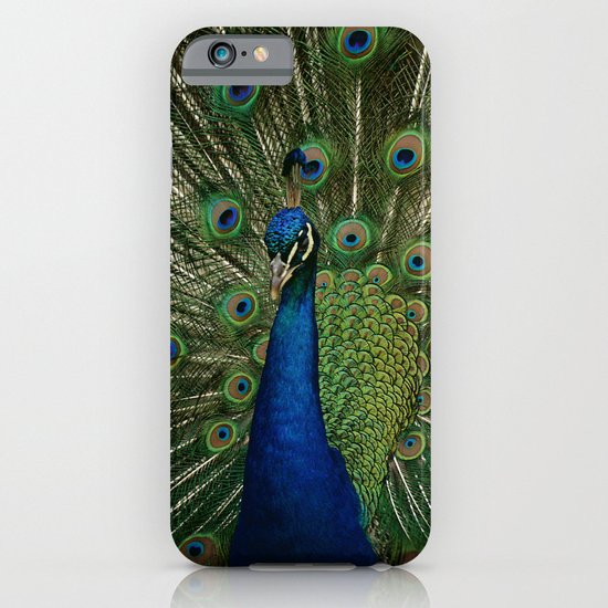 Peacock iPhone & iPod Case