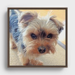 Yorkshire Terrier Dog - What!?! (with text) Framed Canvas