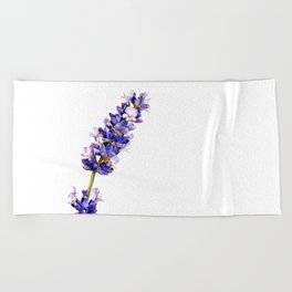 Mediterranean Lavender on White Beach Towel