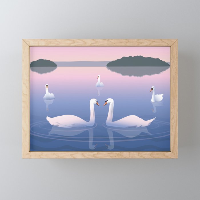 Swimming Swans on the Lake Framed Mini Art Print