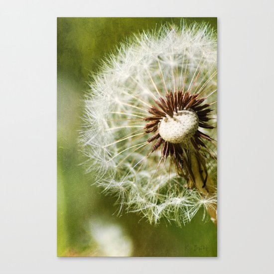 Launch Pad Canvas Print