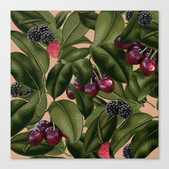 FRUITS AND LEAVES Canvas Print