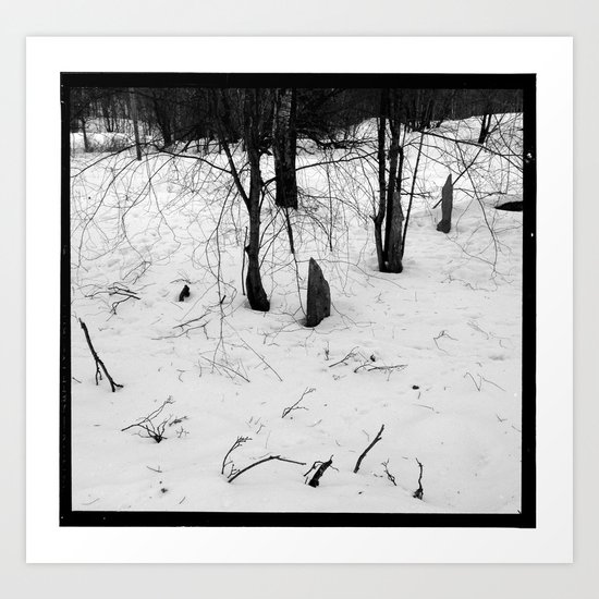 Norwegian forest Art Print