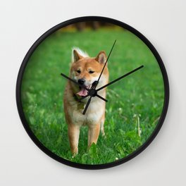 Japanease Dog Red Shiba Inu Running Wall Clock