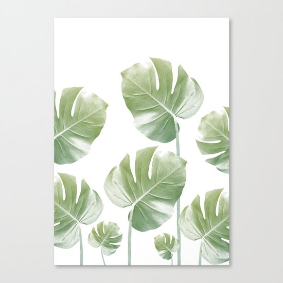 Monstera Rising Canvas Print