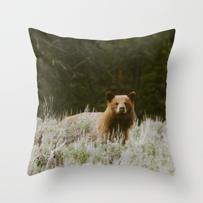 Throw Pillow