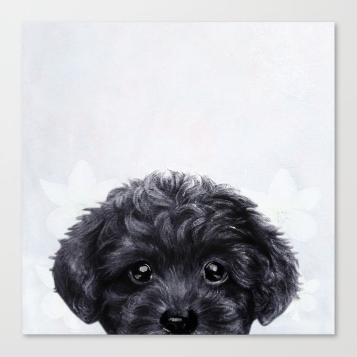 Toy Poodle Black Canvas Print By Miartdesigncreation Society6