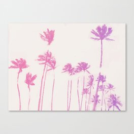 Pink Palms   Canvas Print