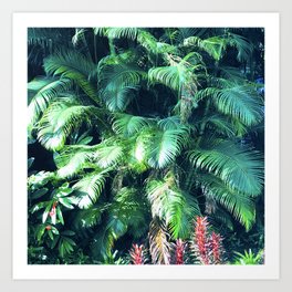 Breathtaking Jungle Palm Leaves in Tropical Hawaii Art Print