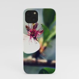 He Loves Me iPhone Case