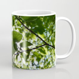 Sunlight Canopy Coffee Mug