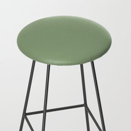 Sea Moss Bar Stool