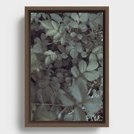 Flora // Focus Framed Canvas