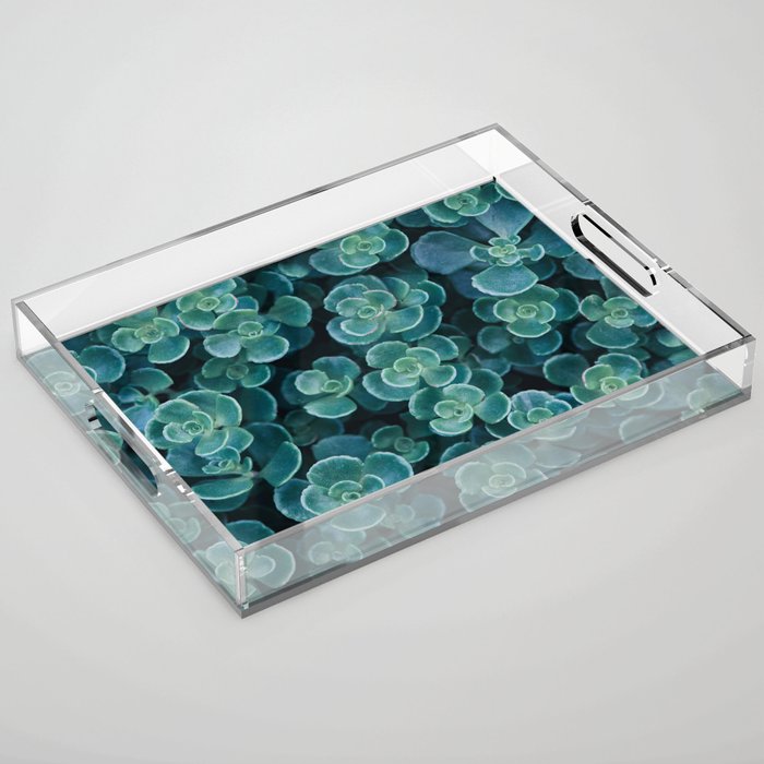 Succulents in Shades of the Sea Acrylic Tray
