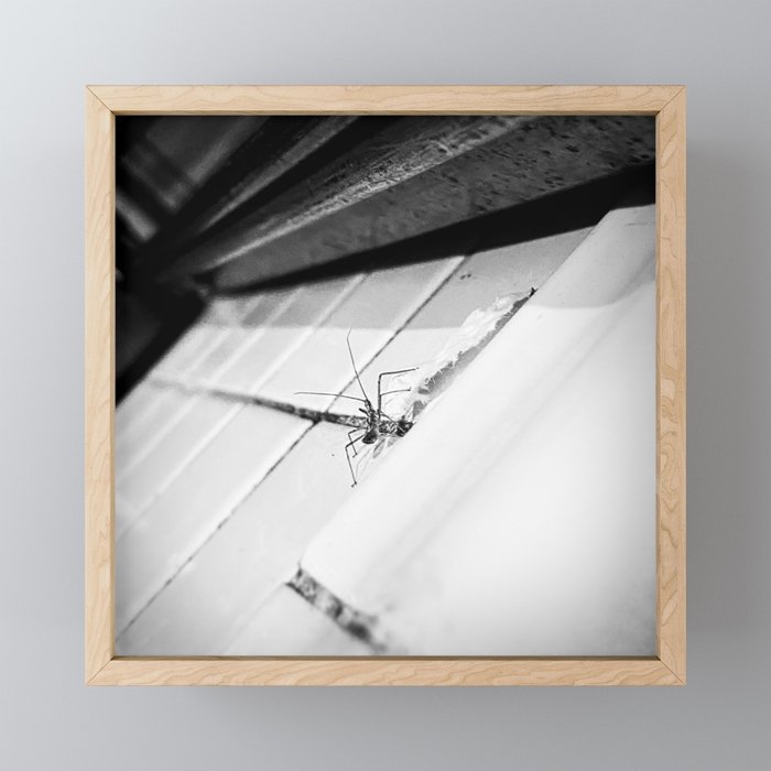 A Stick Bug Steps Out Framed Mini Art Print