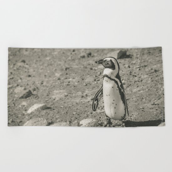 Black and White African Penguin Beach Towel