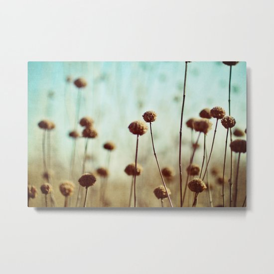 field of dreams Metal Print