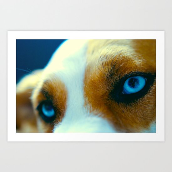 Zoeys eye's Art Print