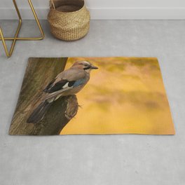 Jay bird in the park Rug | Color, Photo, Wildlife, Other, Park, Animal, Nature, Blaminsky, Bird, Orange 