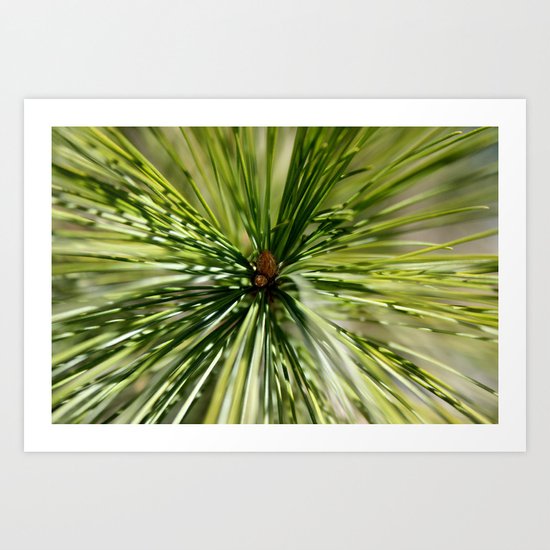 Needles Art Print