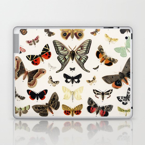 Antique Butterfly and Moth Lithograph Laptop & iPad Skin