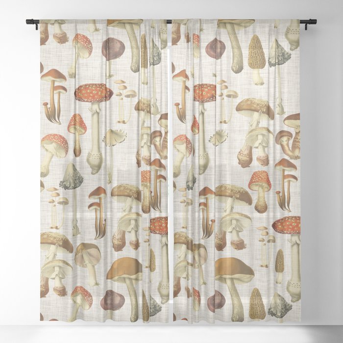 Sheer Curtain
