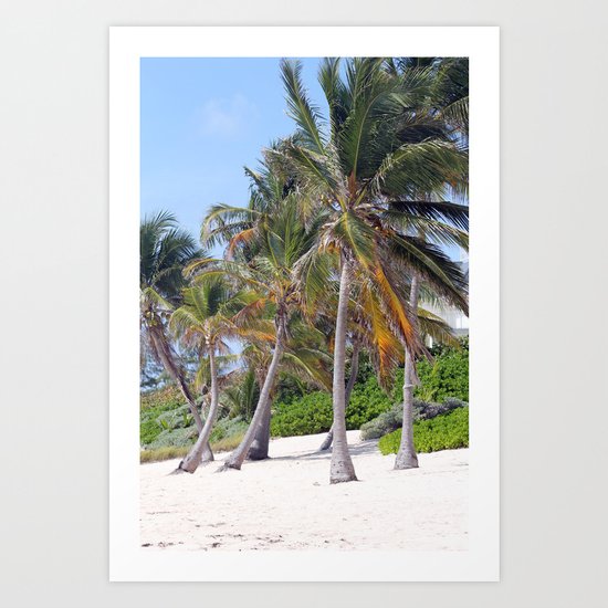Palmtrees Art Print