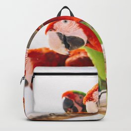 Red macaws Backpack | Tropicalanimals, Photo, Lovebird, Redmacaw, Birdbeak, Flying, Macaw, Redparrot, Friendlybird, Curiousbird 