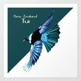 New Zealand Birds - The Tui Art Print