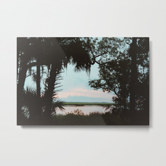 Cumberland Island Metal Print