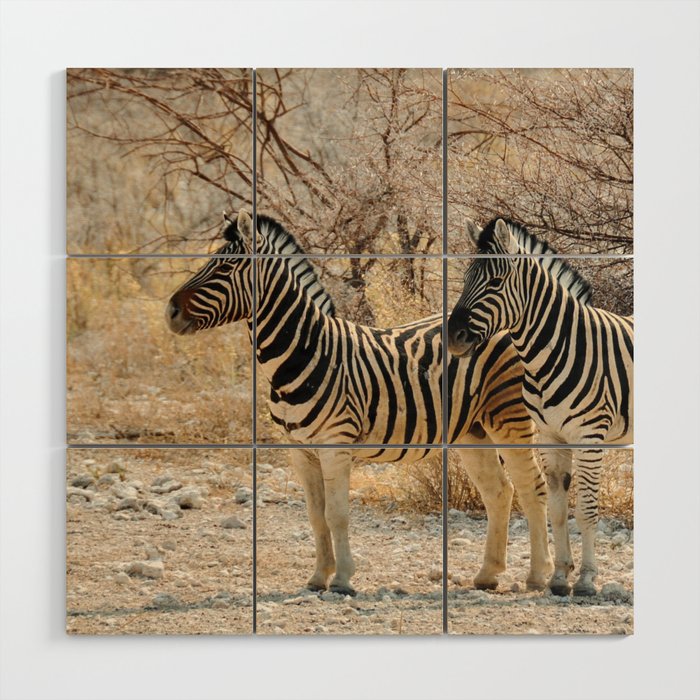 South Africa Photography - Two Zebras Standing On A Dirt Road Wood Wall Art