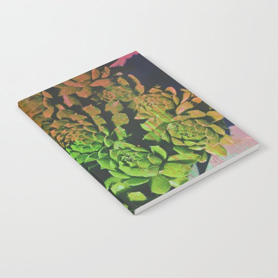 SuccuGlitch Notebook