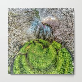 Bubble of Spring Metal Print